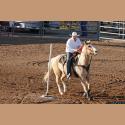 DSC_1951.jpg   241.4K