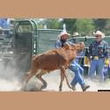 DSC_2679.jpg   112.9K