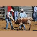 DSC_3720.jpg   167.3K