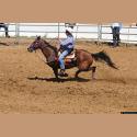 DSC_3834.jpg   177.4K