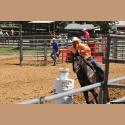 DSC_3919.jpg   162.6K