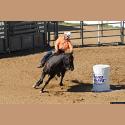 DSC_4111.jpg   172.2K