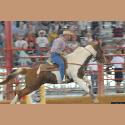 DSC_4562.jpg   109.9K