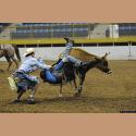 DSC_4704.jpg   127.5K