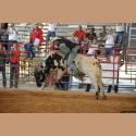 DSC_4706.jpg   145.7K