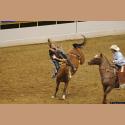 DSC_5042.jpg   112.3K
