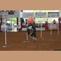 DSC_5071.jpg   140.4K
