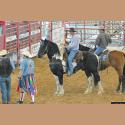 DSC_5393.jpg   159.3K