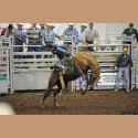 DSC_7649.jpg   138.7K