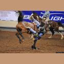 DSC_8096.jpg   120.6K