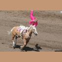 DSC_9164.jpg   159.7K