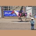 DSC_9185.jpg   145.2K