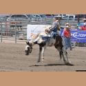 DSC_9256.jpg   153.2K