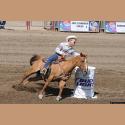 DSC_9378.jpg   152.3K