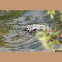 DSC_3968b.jpg   118.4K