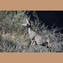 DSC_4407b.jpg   197.1K