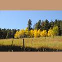 DSC_4459b.jpg   149.8K
