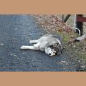 DSC_4925b.jpg   213.1K
