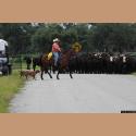 DSC_5439b.jpg   103.6K