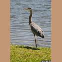DSC_5514b.jpg   72.4K