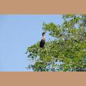 DSC_5517b.jpg   192.5K