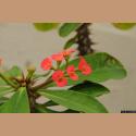 DSC_8438b.jpg   61.4K