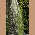 DSC_8459b.jpg   91.9K