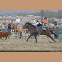 DSC_0580.jpg   178.0K