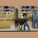 DSC_0798.jpg   173.8K