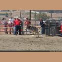 DSC_1069.jpg   219.3K