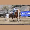 DSC_1317.jpg   185.7K