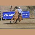 DSC_1430.jpg   174.6K