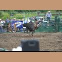 DSC_1835.jpg   195.3K