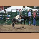DSC_2262.jpg   191.3K