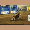 DSC_2384.jpg   190.6K