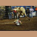 DSC_2494.jpg   182.4K
