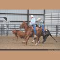 DSC_2713.jpg   164.1K