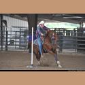 DSC_2798.jpg   158.6K