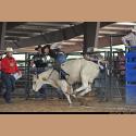 DSC_2897.jpg   173.5K