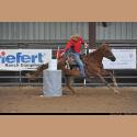 DSC_3178.jpg   155.7K