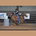 DSC_3191.jpg   156.7K