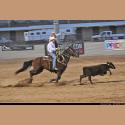 DSC_4454.jpg   146.7K