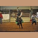 DSC_6248.jpg   156.7K