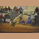 DSC_6679.jpg   151.6K