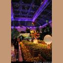 DSC_0367.JPG   138.2K
