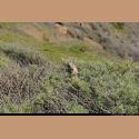 DSC_8719.JPG   219.5K