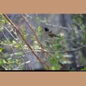 DSC_9623.JPG   148.9K