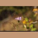 e_DSC_5184.JPG   101.6K