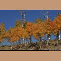 e_DSC_5366.JPG   244.2K
