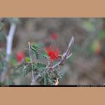 DSC_0531.JPG   124.3K